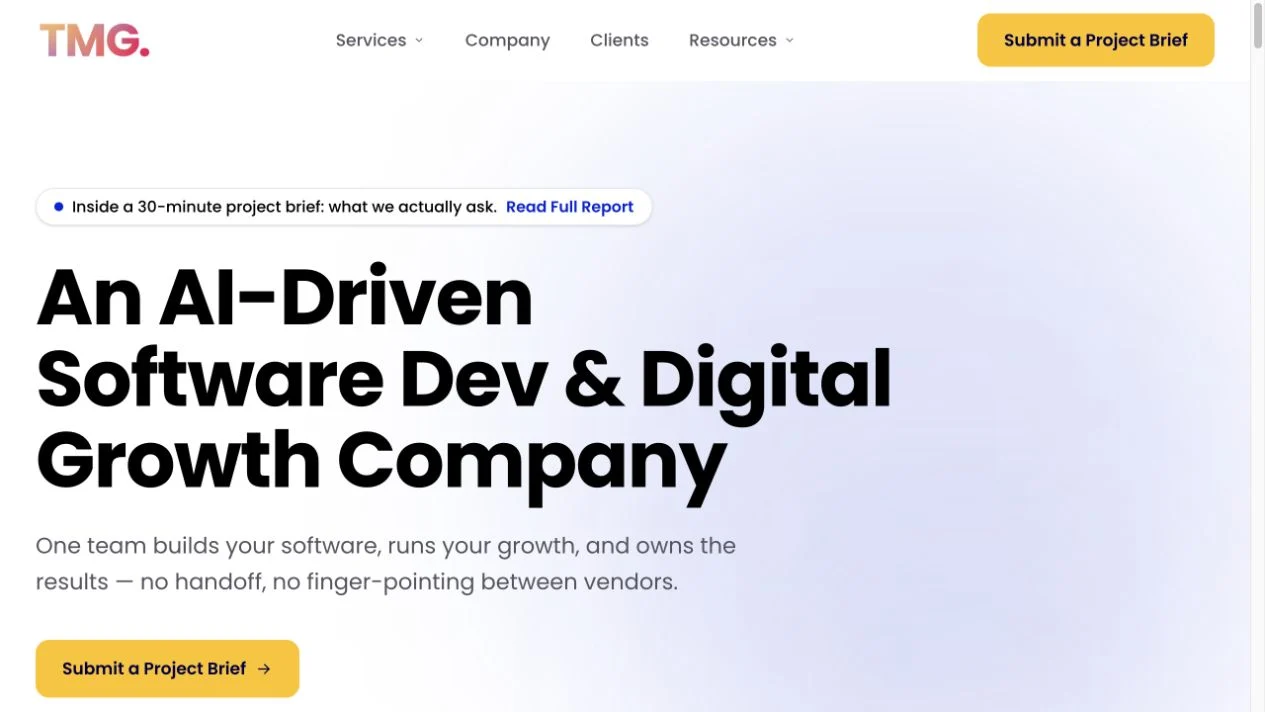 Desktop view of the TMG Global website